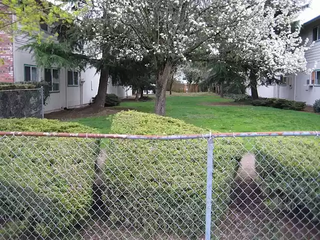 Former road that led to the home of the man with the crooked spine